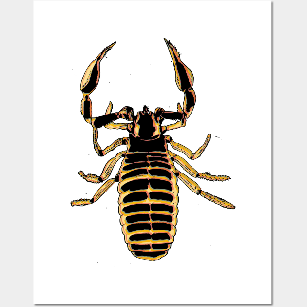 Pseudoscorpion 2 Wall Art by A N Illustration